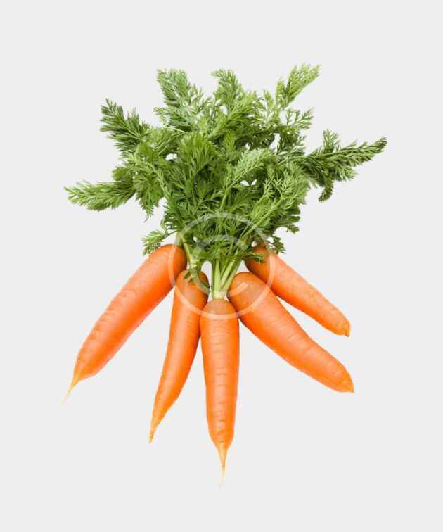 Fresh organic carrots bunch