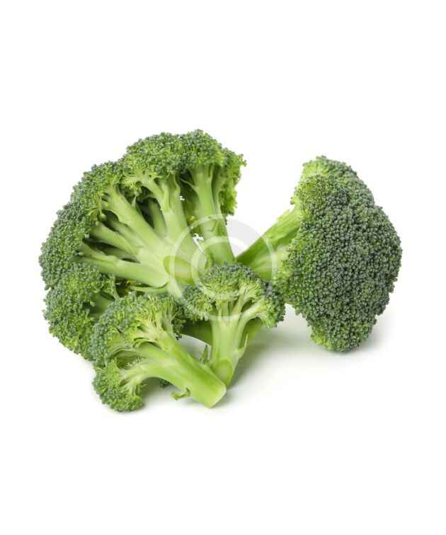 Fresh cut broccoli florets