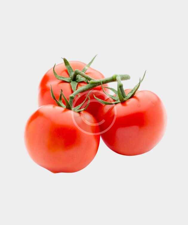 Fresh vine-ripened tomatoes